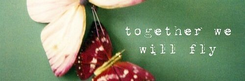 Amy Leiferman banner