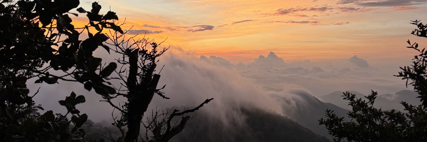 Tania_barte's profile banner image