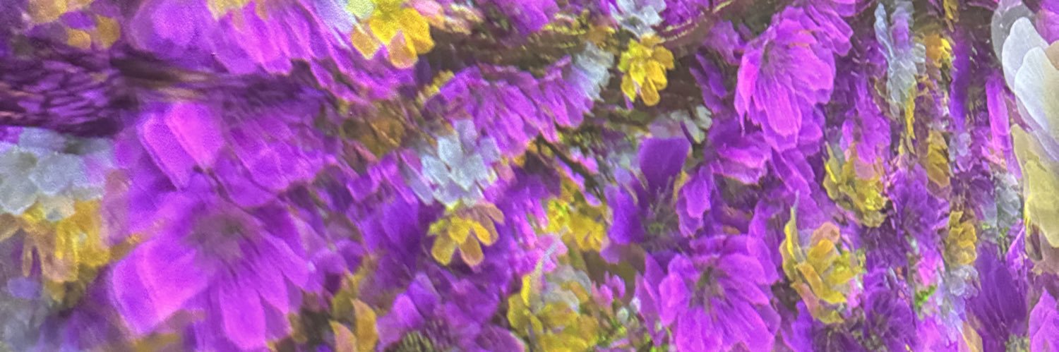izzzmaniac's profile banner image