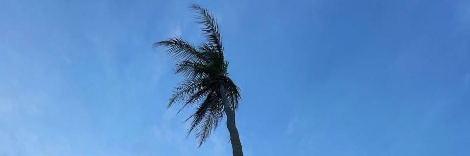Loureein's profile banner image