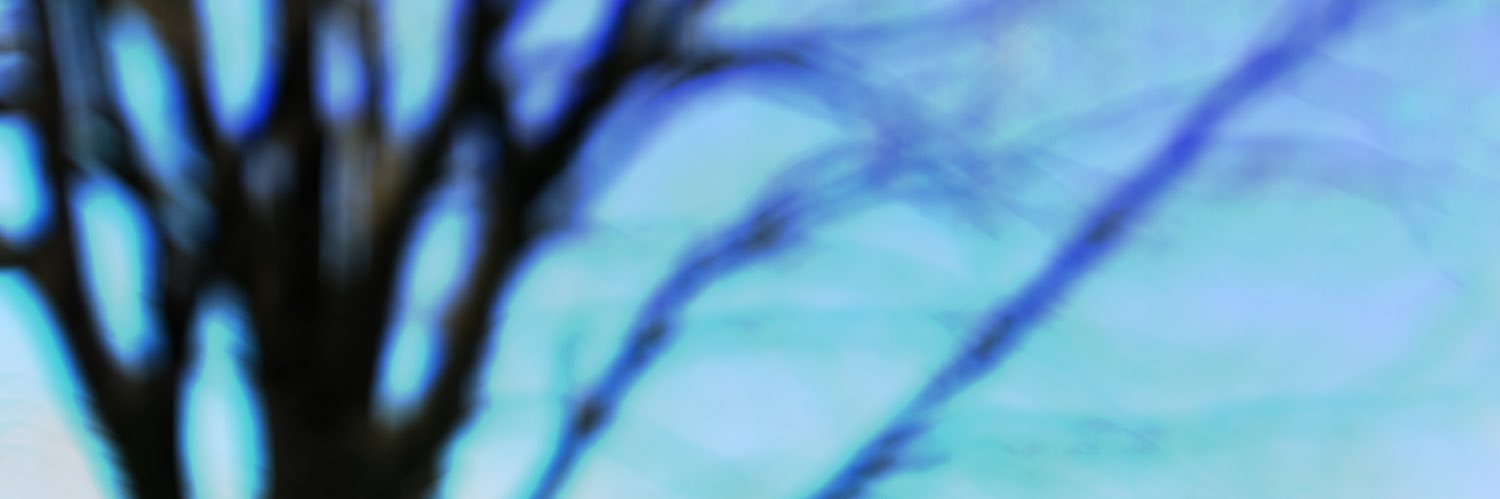 bapponteki's profile banner image