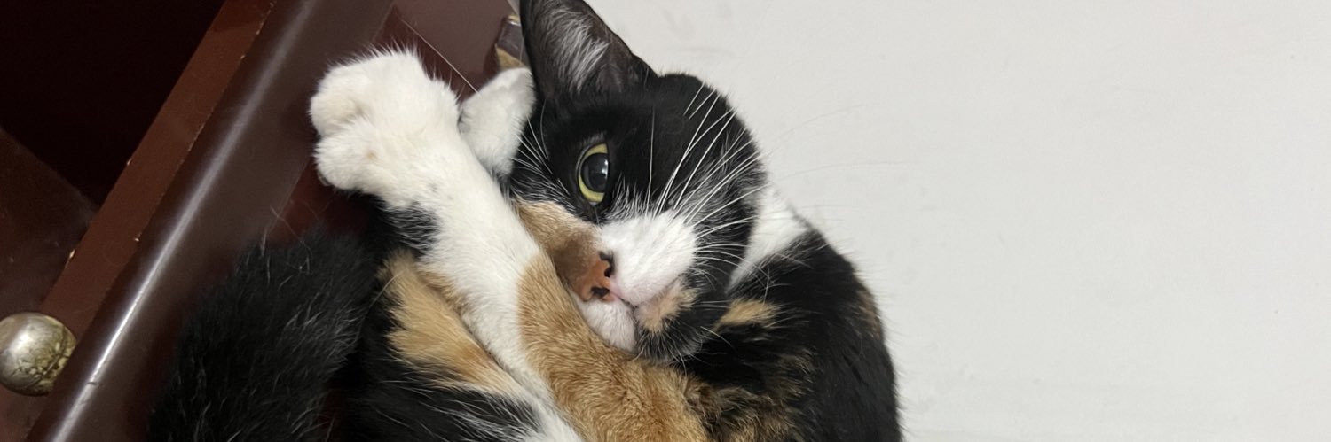 mdblari's profile banner image
