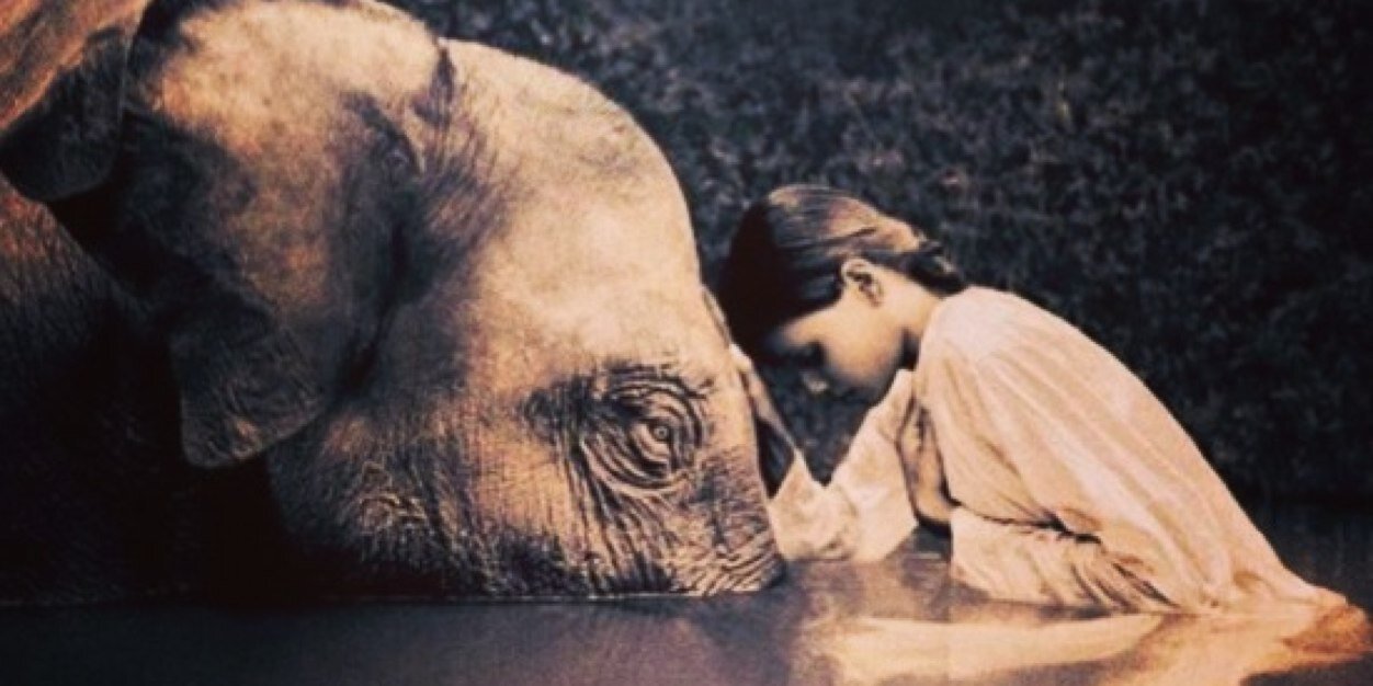 Save_OurPlanet's profile banner image