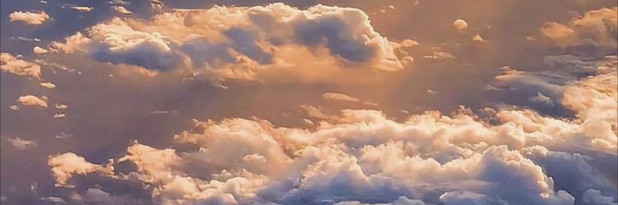 tessbobsetoni's profile banner image