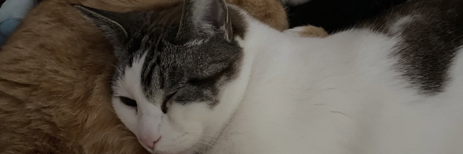 KUKL96's profile banner image