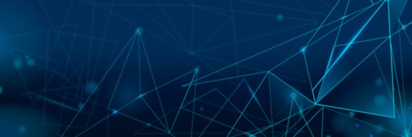 seniorpythondev Profile Banner