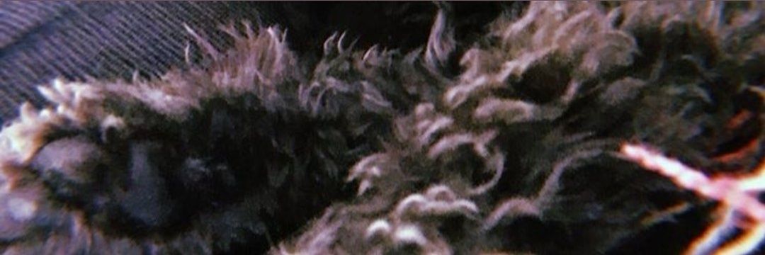 _mmmelina's profile banner image