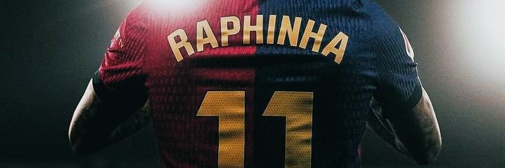 raphignon's profile banner image