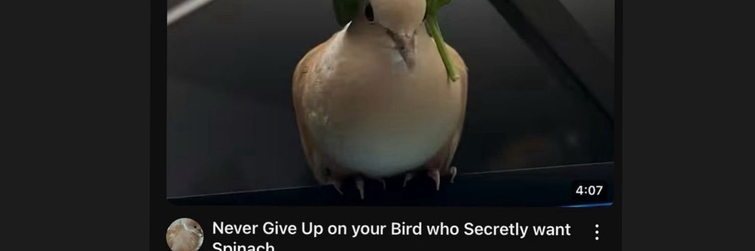 asininecrow's profile banner image
