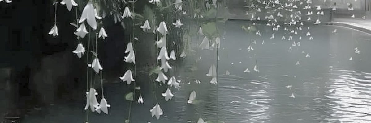 kascaades's profile banner image