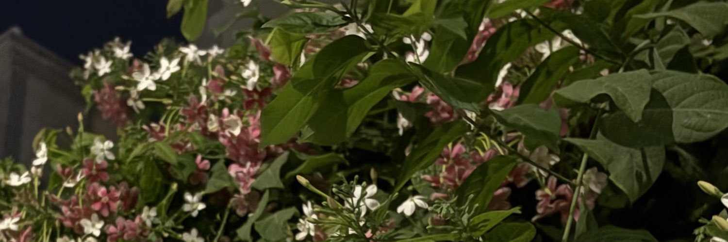 mhilw1's profile banner image