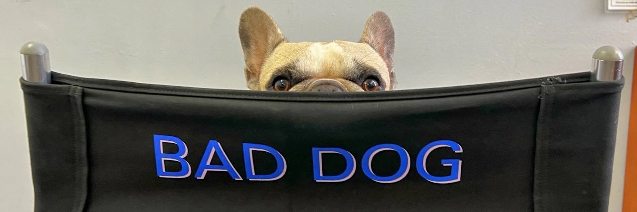 Quid's banner