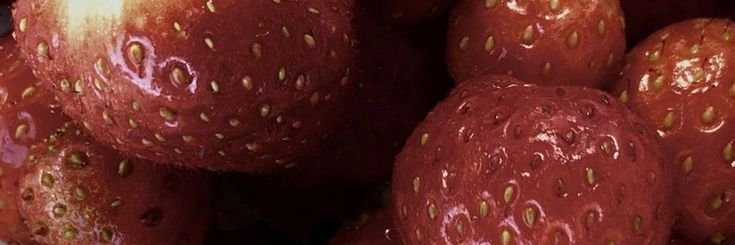 𝒩 𝘪𝘯𝘪𝘤𝘰 ⁷` ℱ𝘢𝘥𝘪𝘯𝘩𝘢 🪭 banner