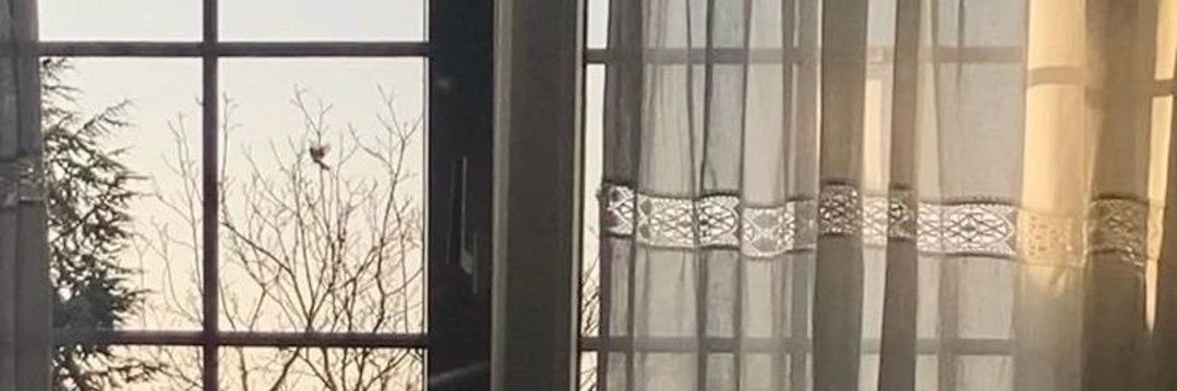 Ebil. 🐈‍⬛ banner