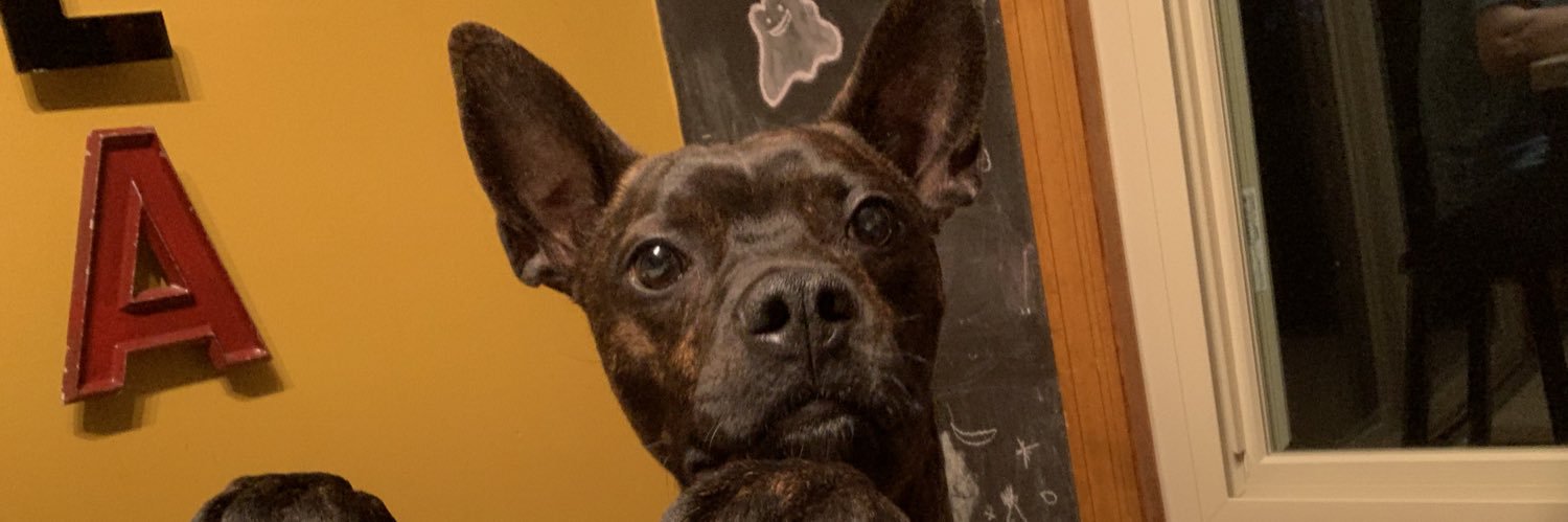 GroovyMomma's profile banner image