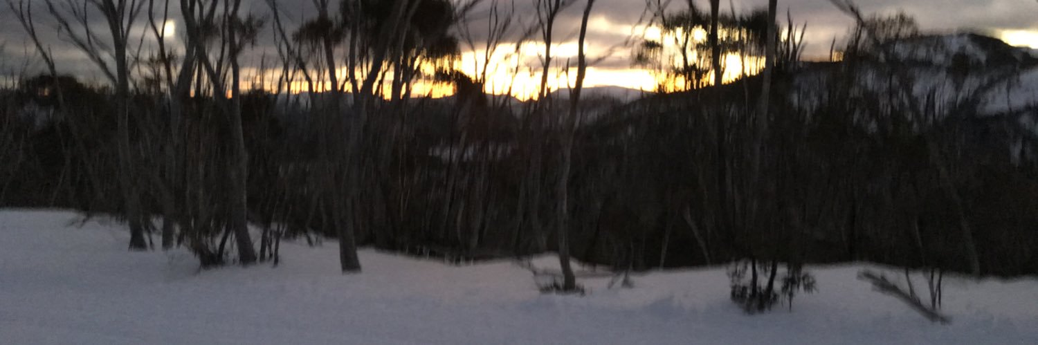 GreenieDanielle's profile banner image
