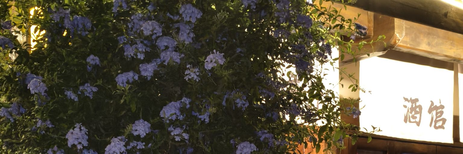 softssssos's profile banner image