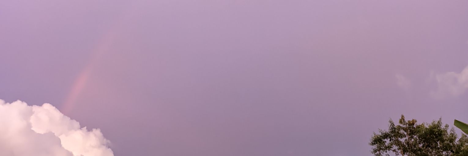 nes banner