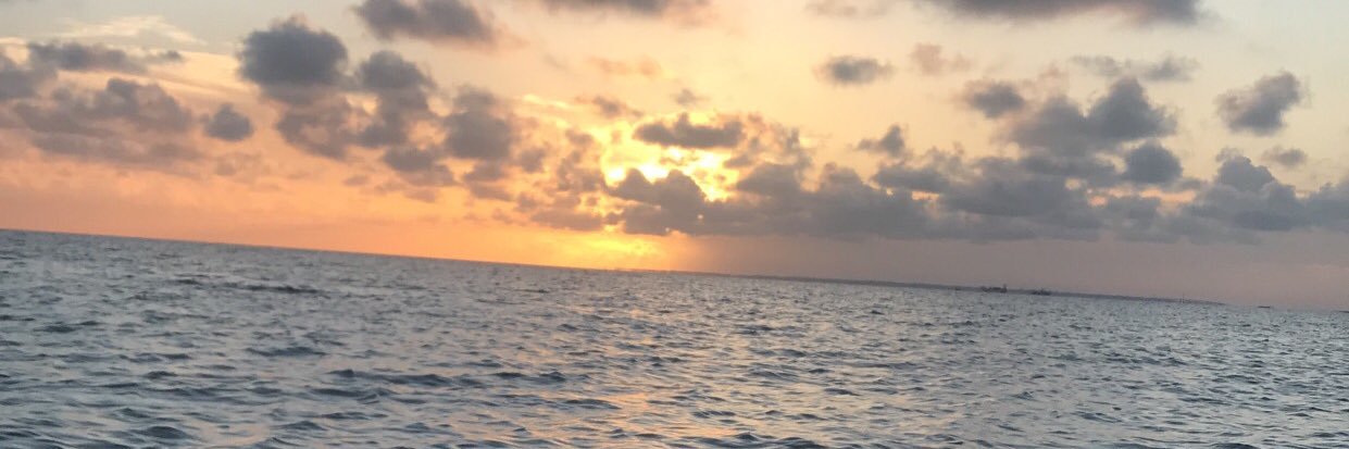 Madison_R13's profile banner image