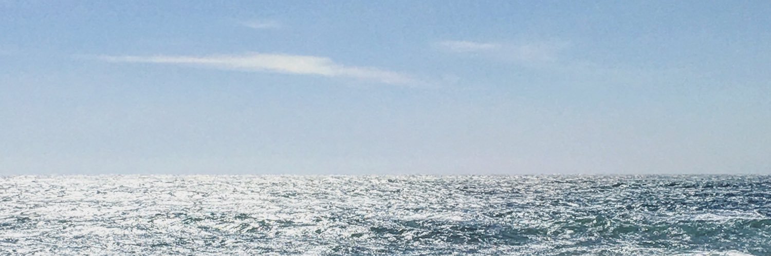 juleenbean's profile banner image