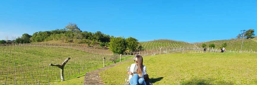 JuliaAlvarez_'s profile banner image