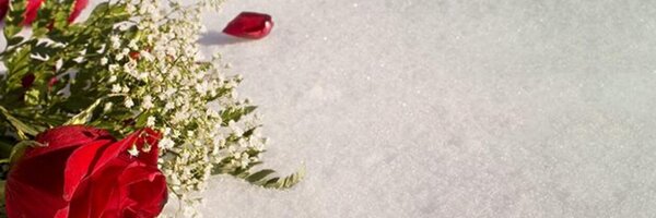 RosedaleFuneral Profile Banner