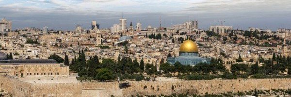 ahmedzaki978277 Profile Banner