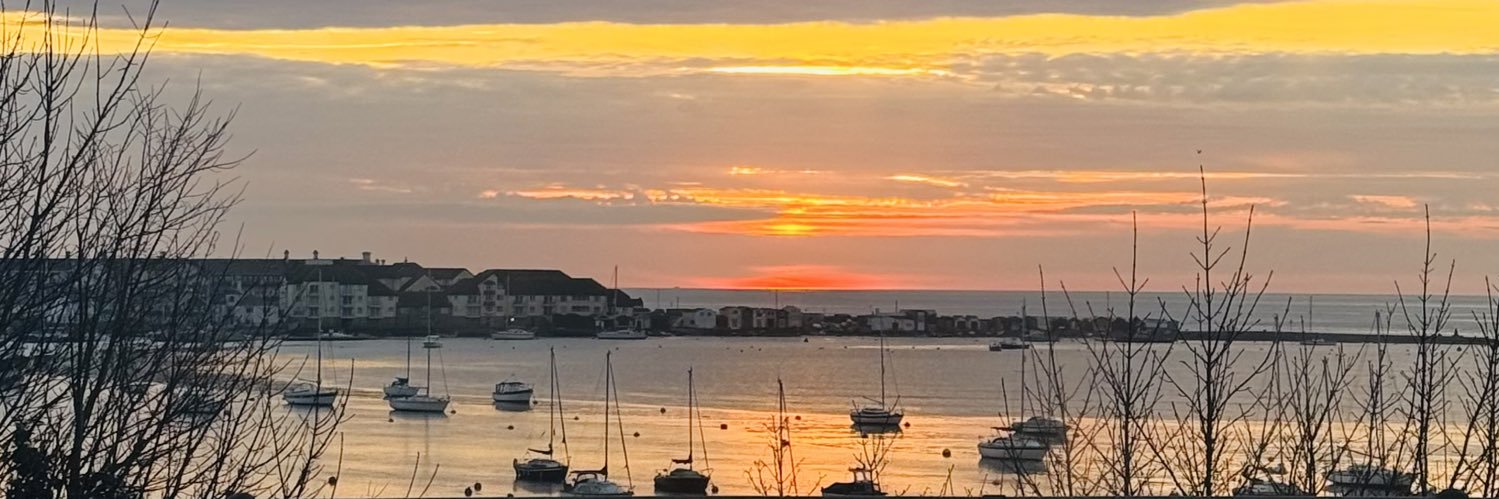 Rebecca Flint banner