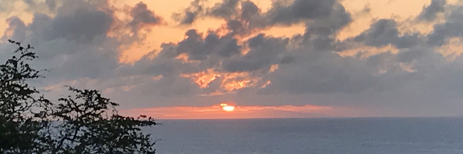 edcoady's profile banner image