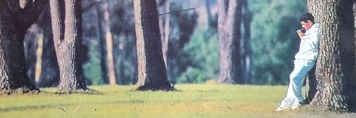 nasge's profile banner image