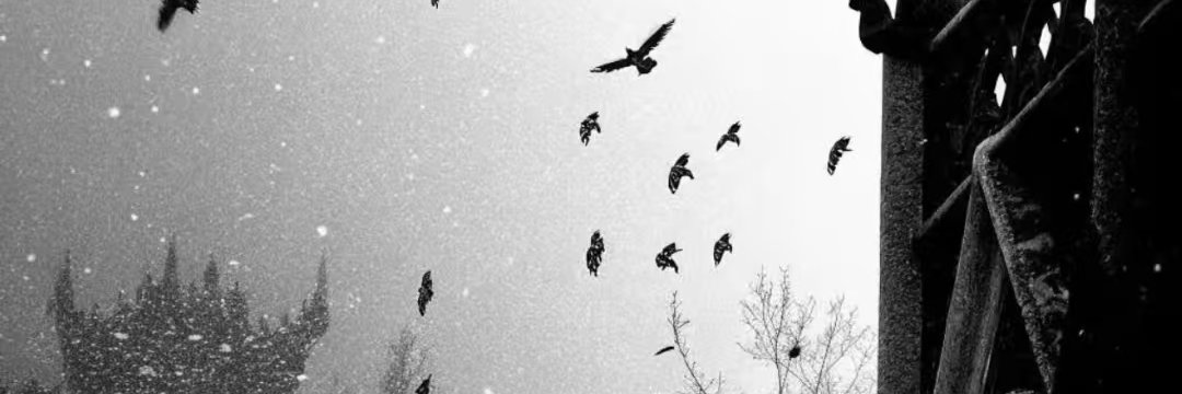 bxny_born_with's profile banner image