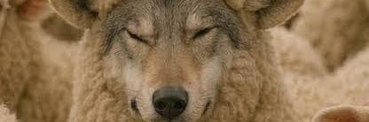 ALP#RapeJews🇹🇷🇵🇸 banner