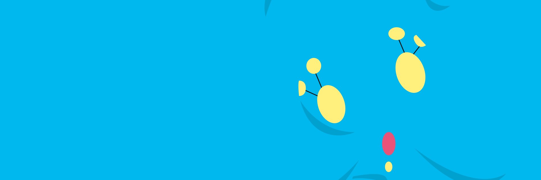 BirdOfY's profile banner image
