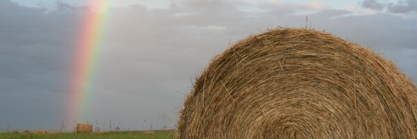 Brenda_Trask Profile Banner