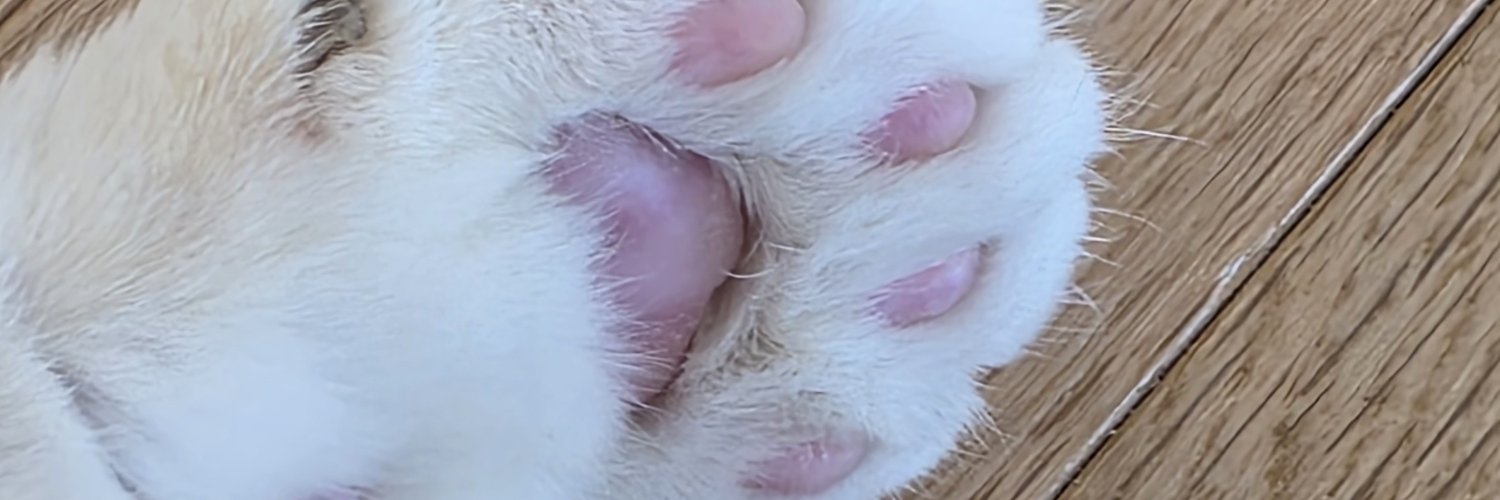 2212_C_'s profile banner image