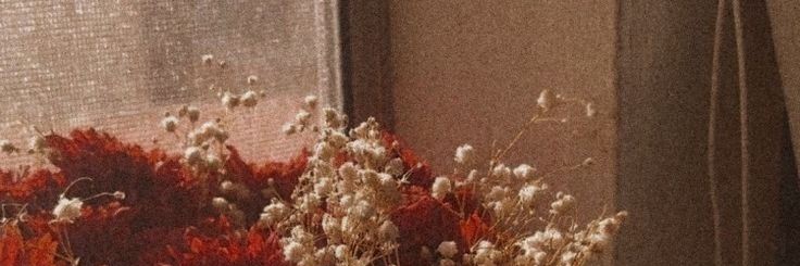 السِنمار banner