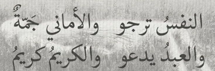 السِنمار banner