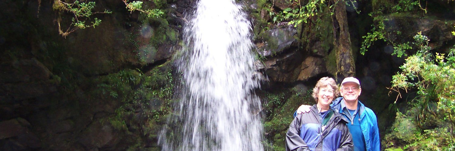 Annielaural's profile banner image