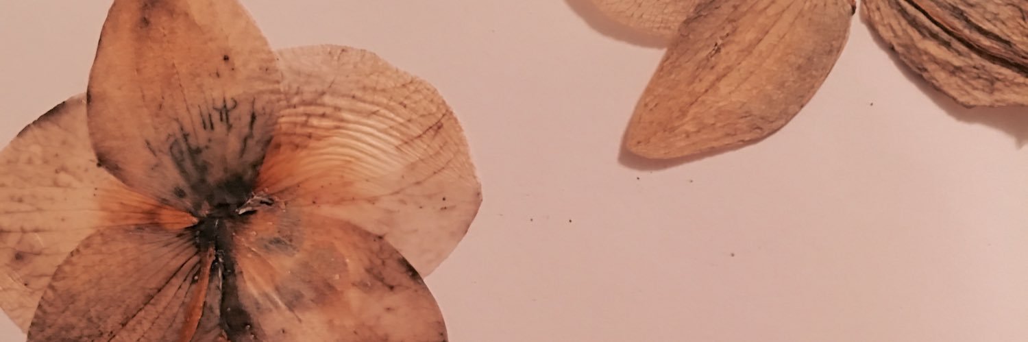 adriennous's profile banner image