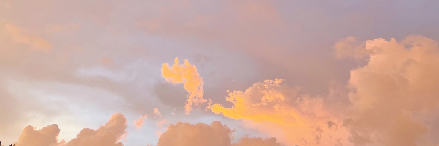 ValeriiaFuentes's profile banner image