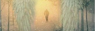 cotteechris1's profile banner image