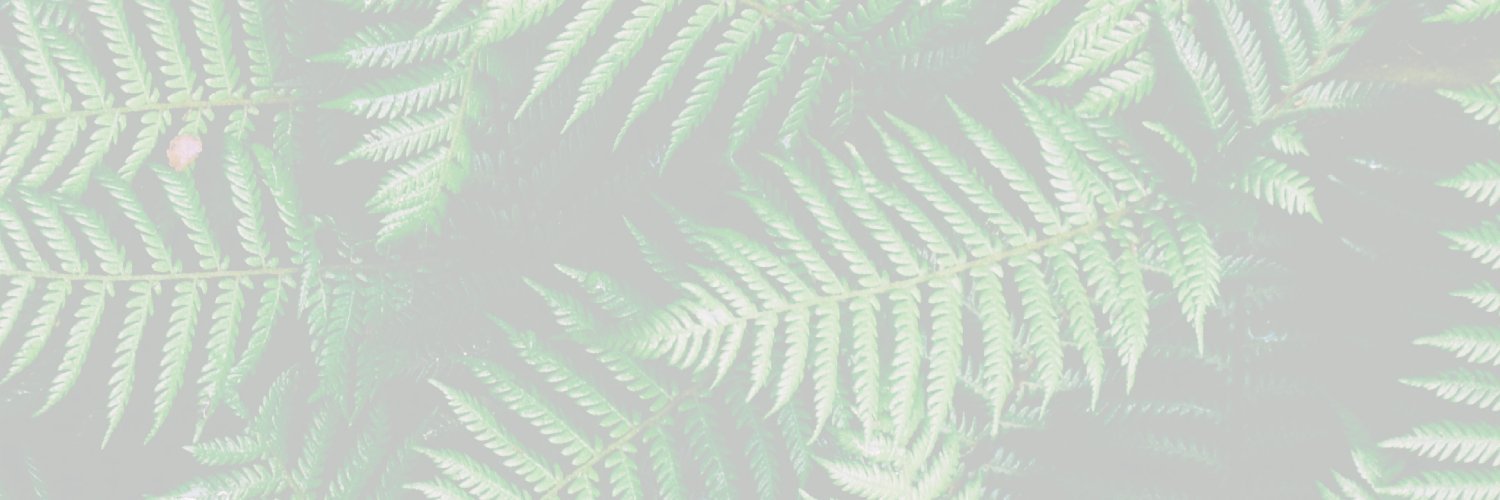 teamcoyote's profile banner image