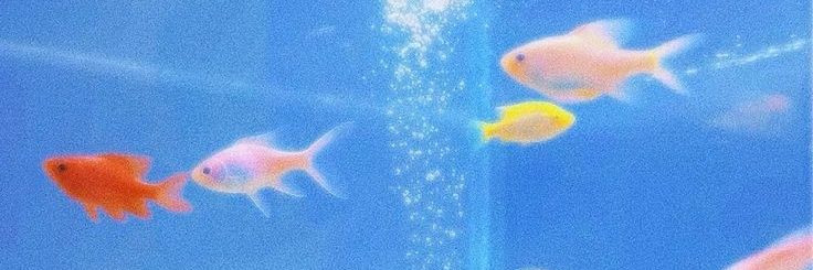 🔞 jerkmaster27 banner