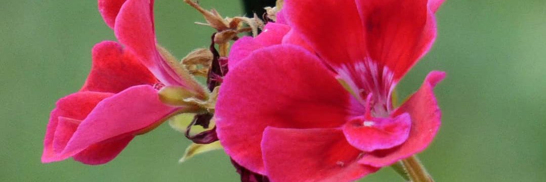 Tkeegan642's profile banner image