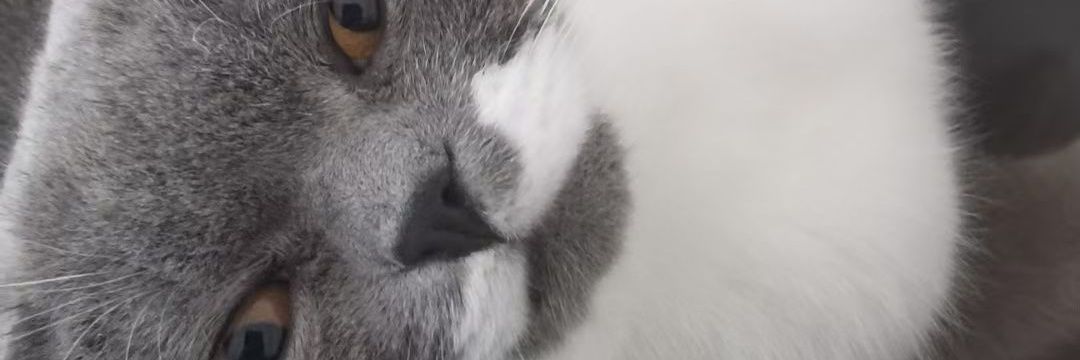 雨下一整晚 banner