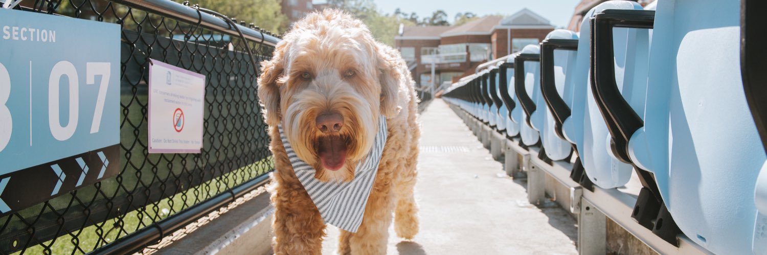 Amber Wisner (Brooks) banner