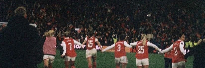 wliamsonstenius's profile banner image