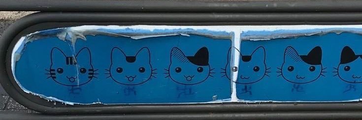 하안 banner