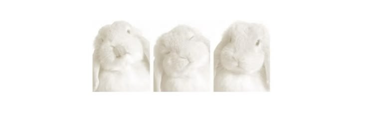 liamoshiie's profile banner image