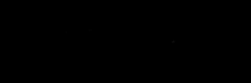 gecko banner